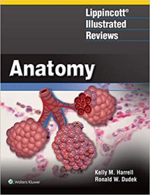 Lippincott Illustrated Reviews Anatomy