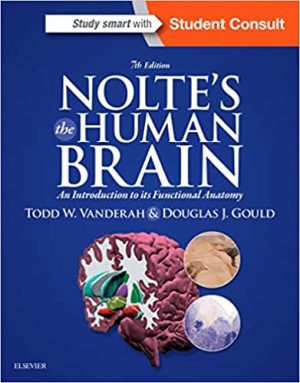 Noltes The Human Brain An Introduction to its Functional Anatomy 7th Edition