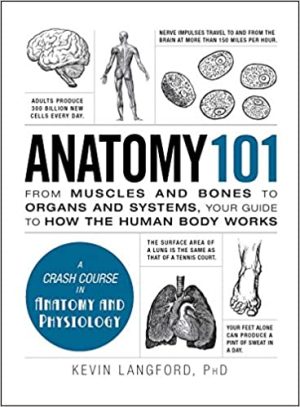 Anatomy 101 From Muscles and Bones to Organs and Systems Your Guide to How the Human Body Works