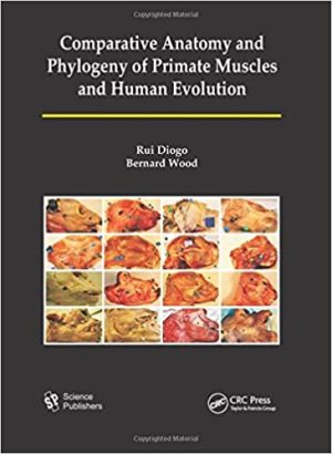 Comparative Anatomy and Phylogeny of Primate Muscles and Human Evolution