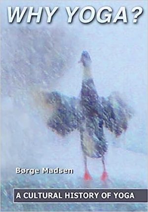 Why Yoga A Cultural History of Yoga