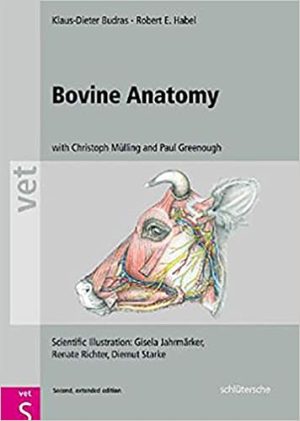 Bovine Anatomy 2nd Ed