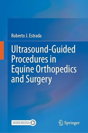 Ultrasound Guided Procedures in Equine Orthopedics and Surgery