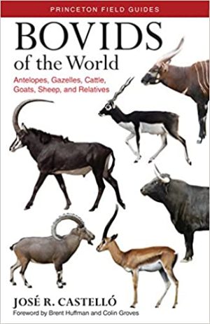 Bovids of the World Antelopes Gazelles Cattle Goats Sheep and Relatives