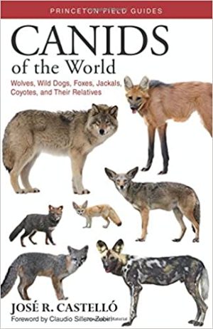 Canids of the World Wolves Wild Dogs Foxes Jackals Coyotes and Their Relatives