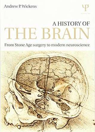 A History of the Brain From Stone Age Surgery To Modern Neuroscience