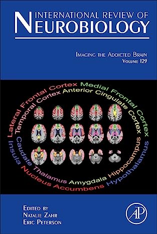 Imaging the Addicted Brain
